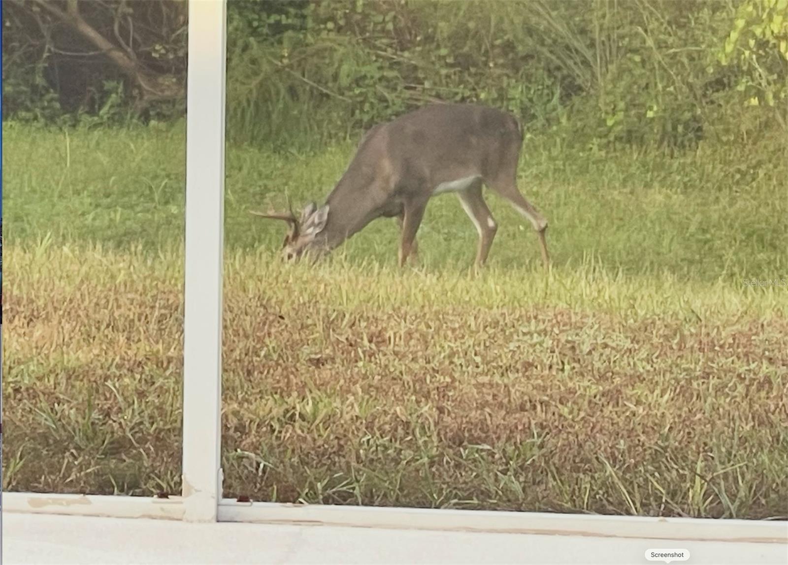Image 51 of 52 For 1951 Tarragon Lane