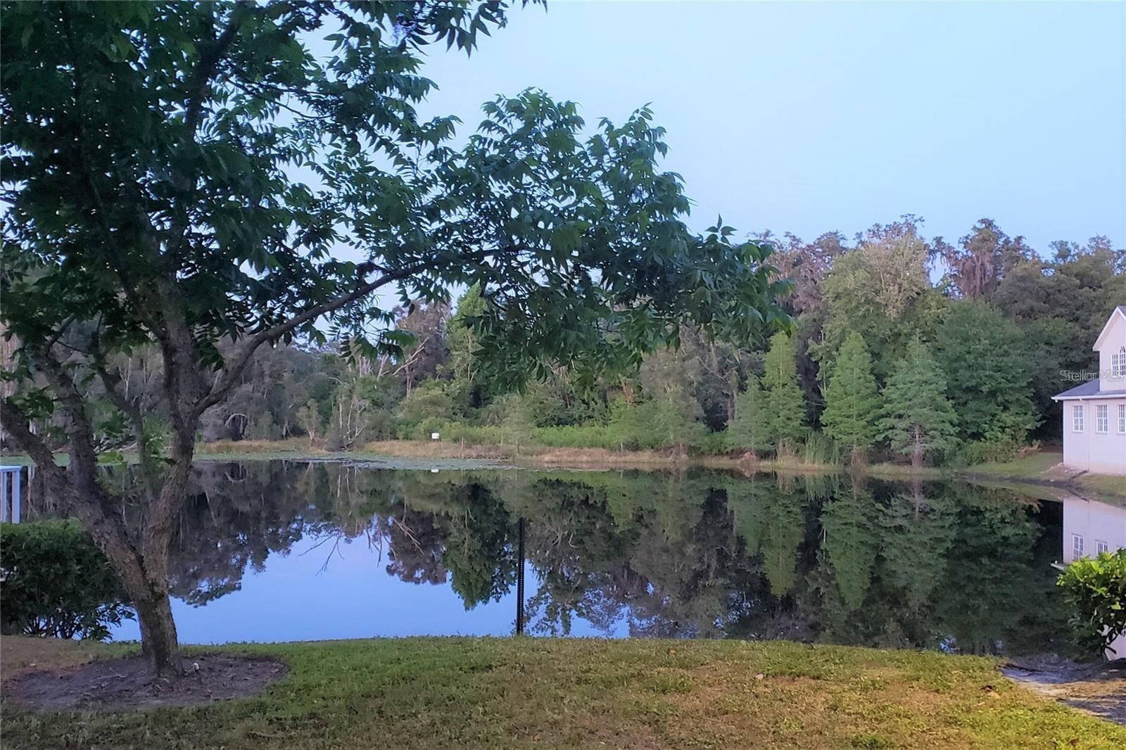 Listing photo id 13 for 16013 Florida Avenue