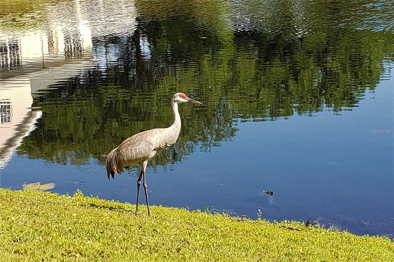 Listing photo id 14 for 16013 Florida Avenue