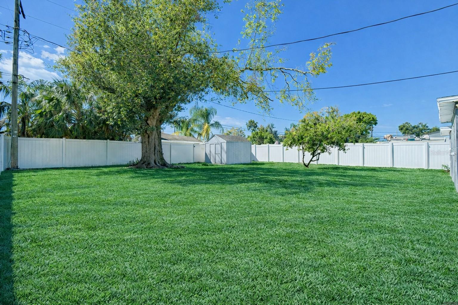 Listing photo id 33 for 3316 Louisiana Avenue