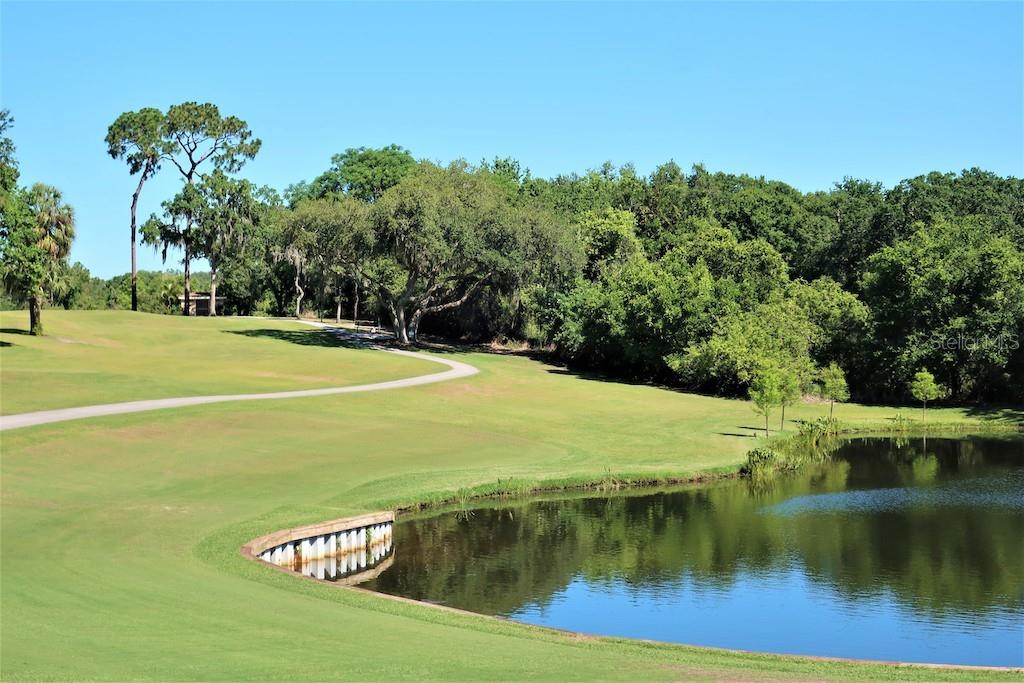 Listing photo id 83 for 3514 Links Court