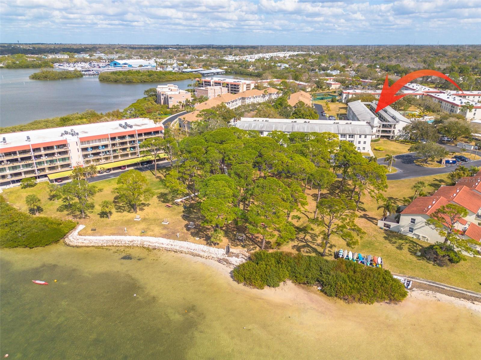 Listing photo id 1 for 2700 Bayshore Boulevard 5302