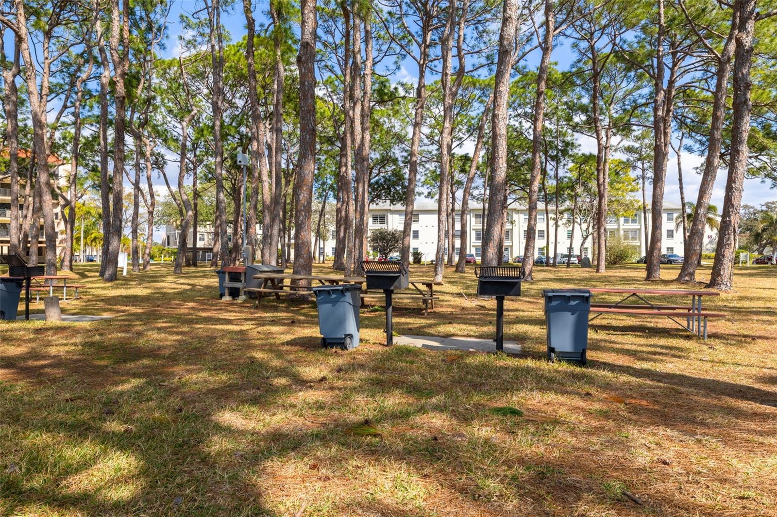 Listing photo id 32 for 2700 Bayshore Boulevard 5302