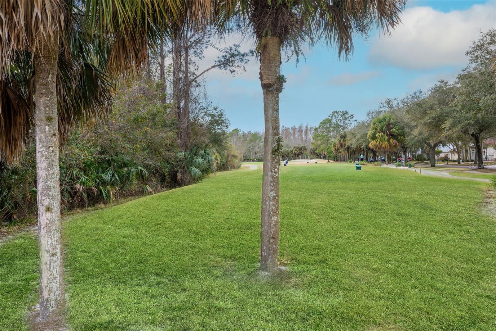 Image 45 of 85 For 18110 Turtle Beach Way