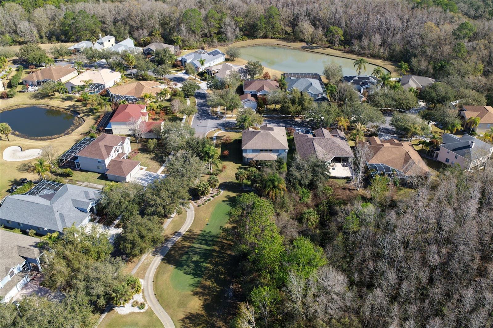 Image 53 of 85 For 18110 Turtle Beach Way