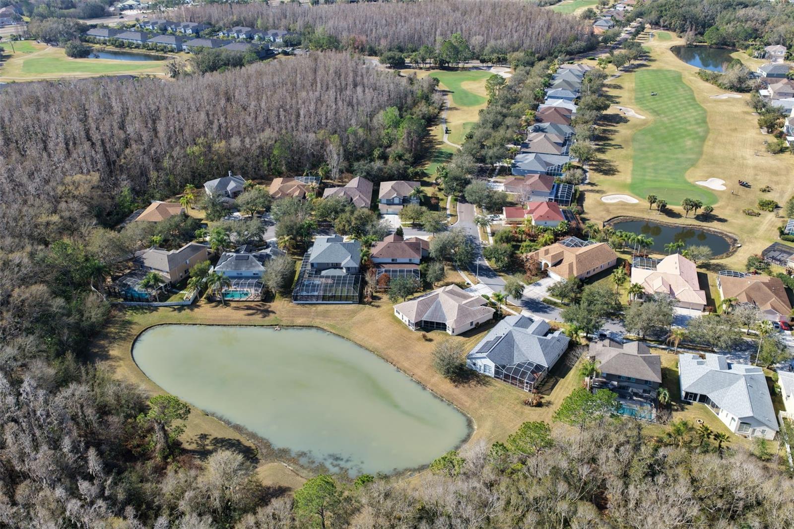 Image 55 of 85 For 18110 Turtle Beach Way