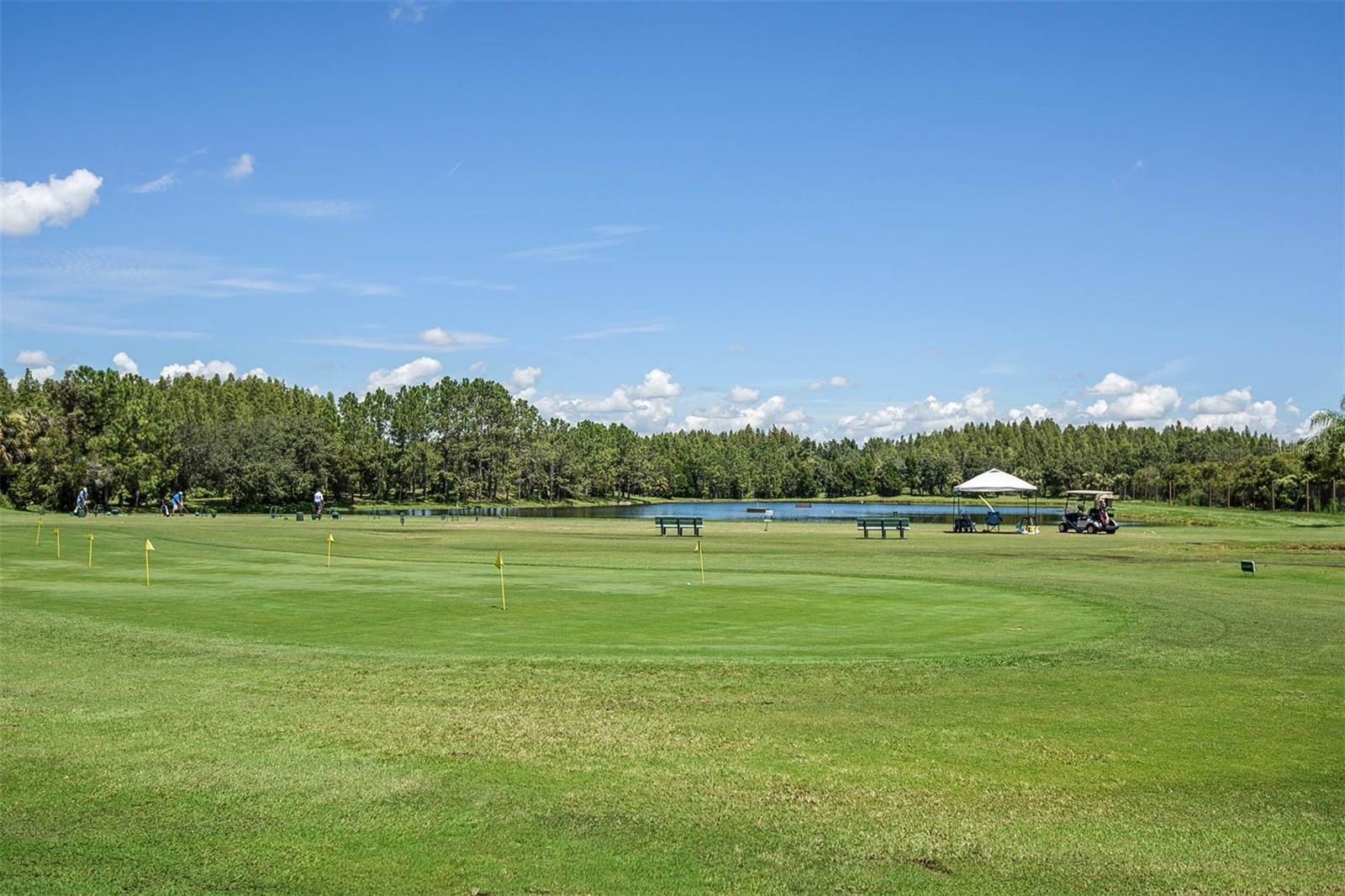 Image 66 of 85 For 18110 Turtle Beach Way