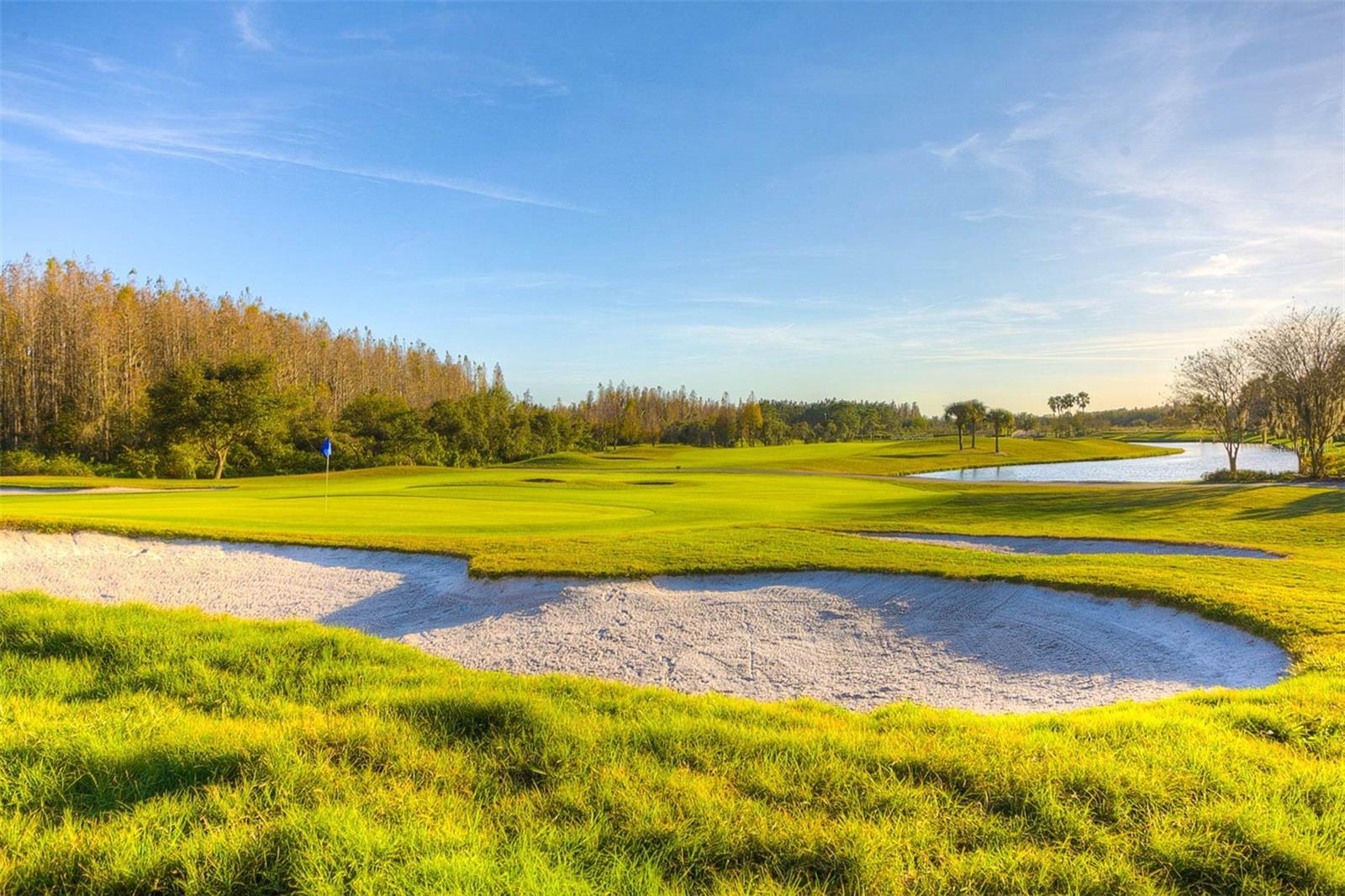 Image 70 of 85 For 18110 Turtle Beach Way