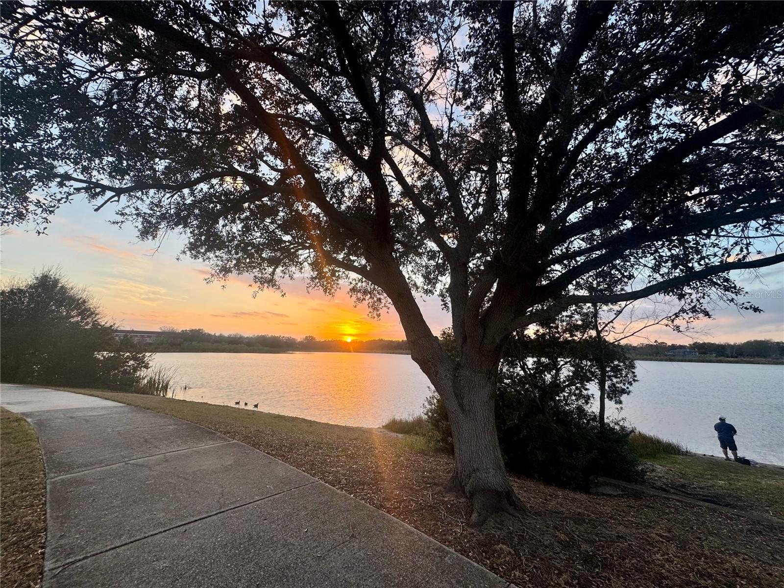 Image 60 of 73 For 2294 Swedish Drive 8