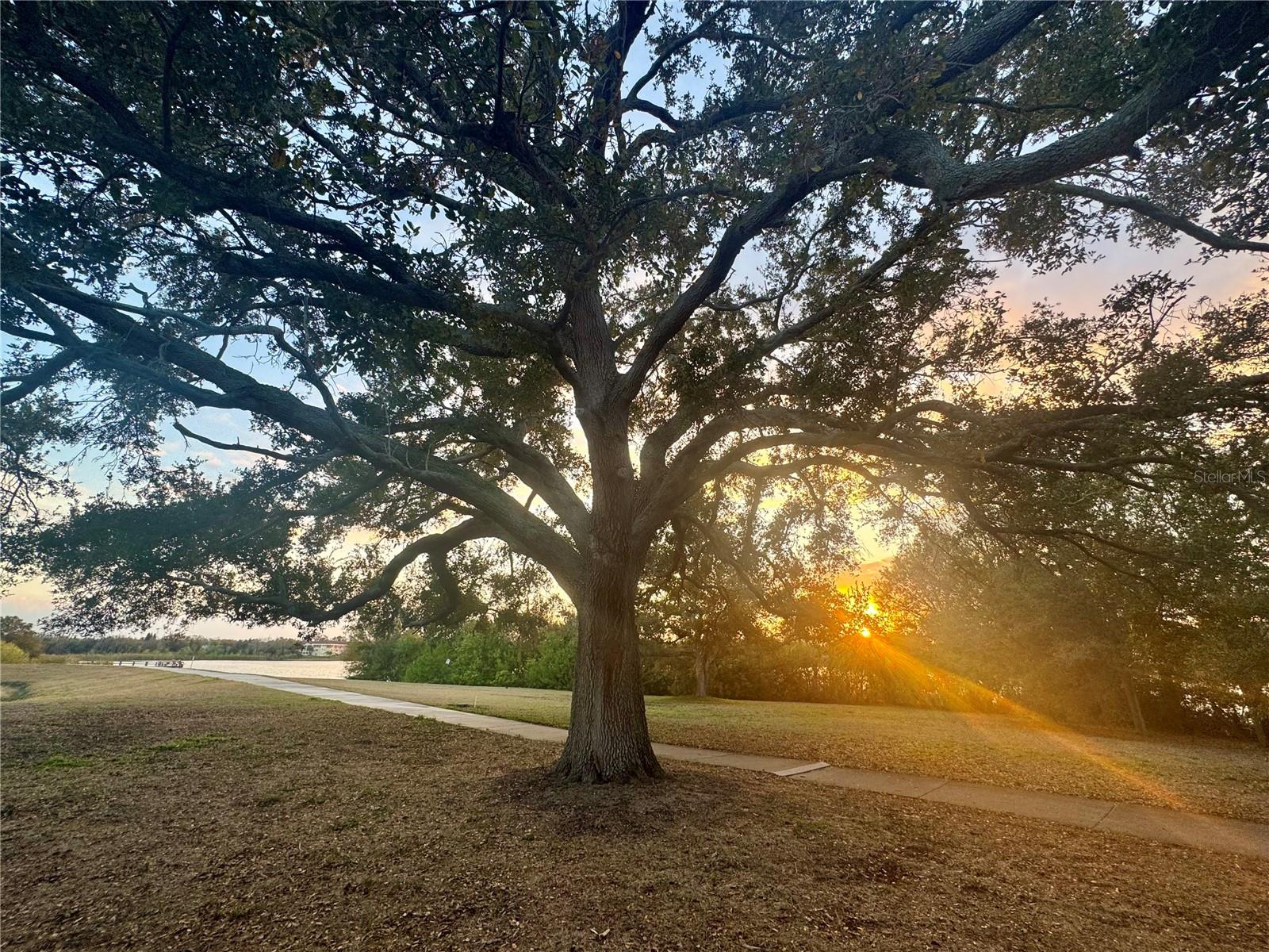 Image 61 of 73 For 2294 Swedish Drive 8