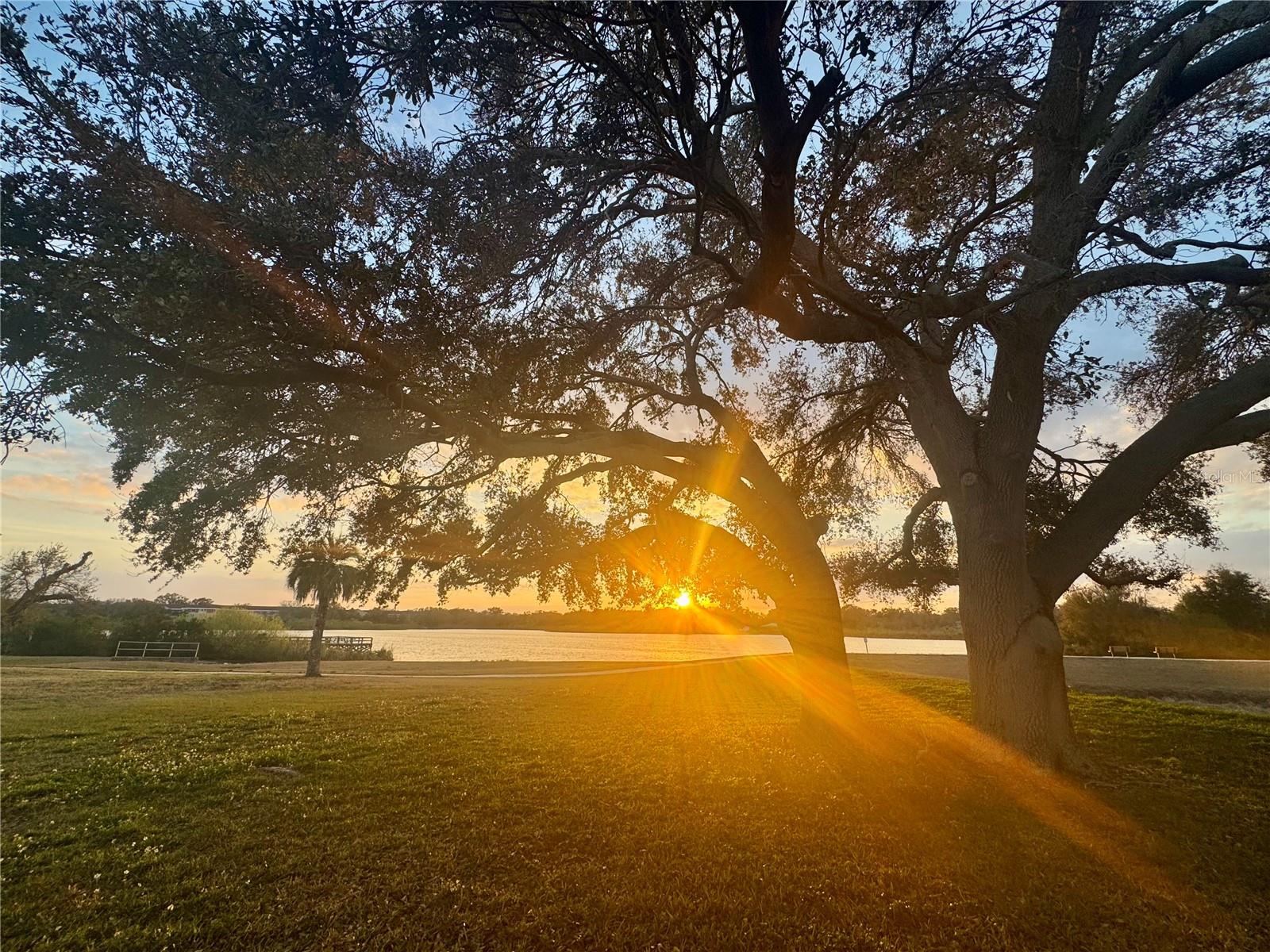 Image 62 of 73 For 2294 Swedish Drive 8