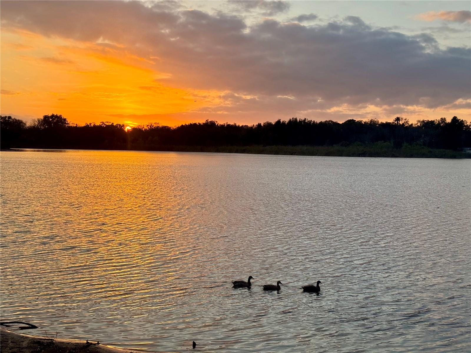 Image 73 of 73 For 2294 Swedish Drive 8