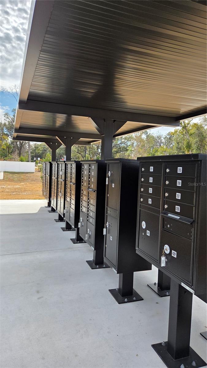 Image 34 of 34 For 36110 Risa Michele Street