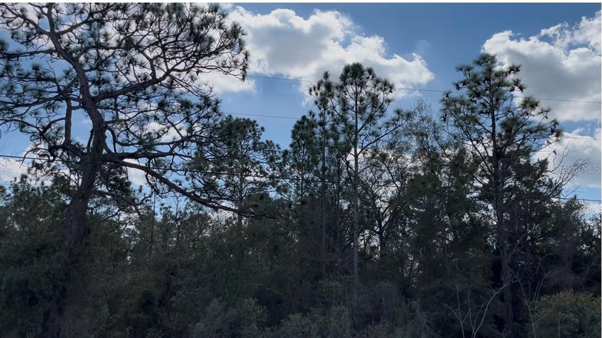 Image 2 of 6 For 12270 Peaceful Avenue