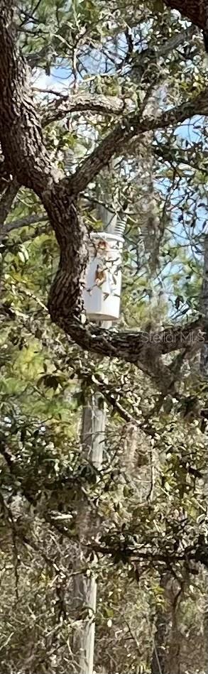 Image 5 of 6 For 12270 Peaceful Avenue