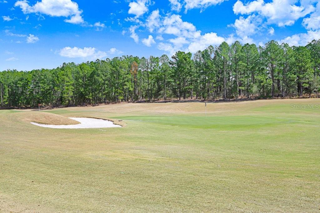 Image 50 of 67 For 5731 Summit View Drive