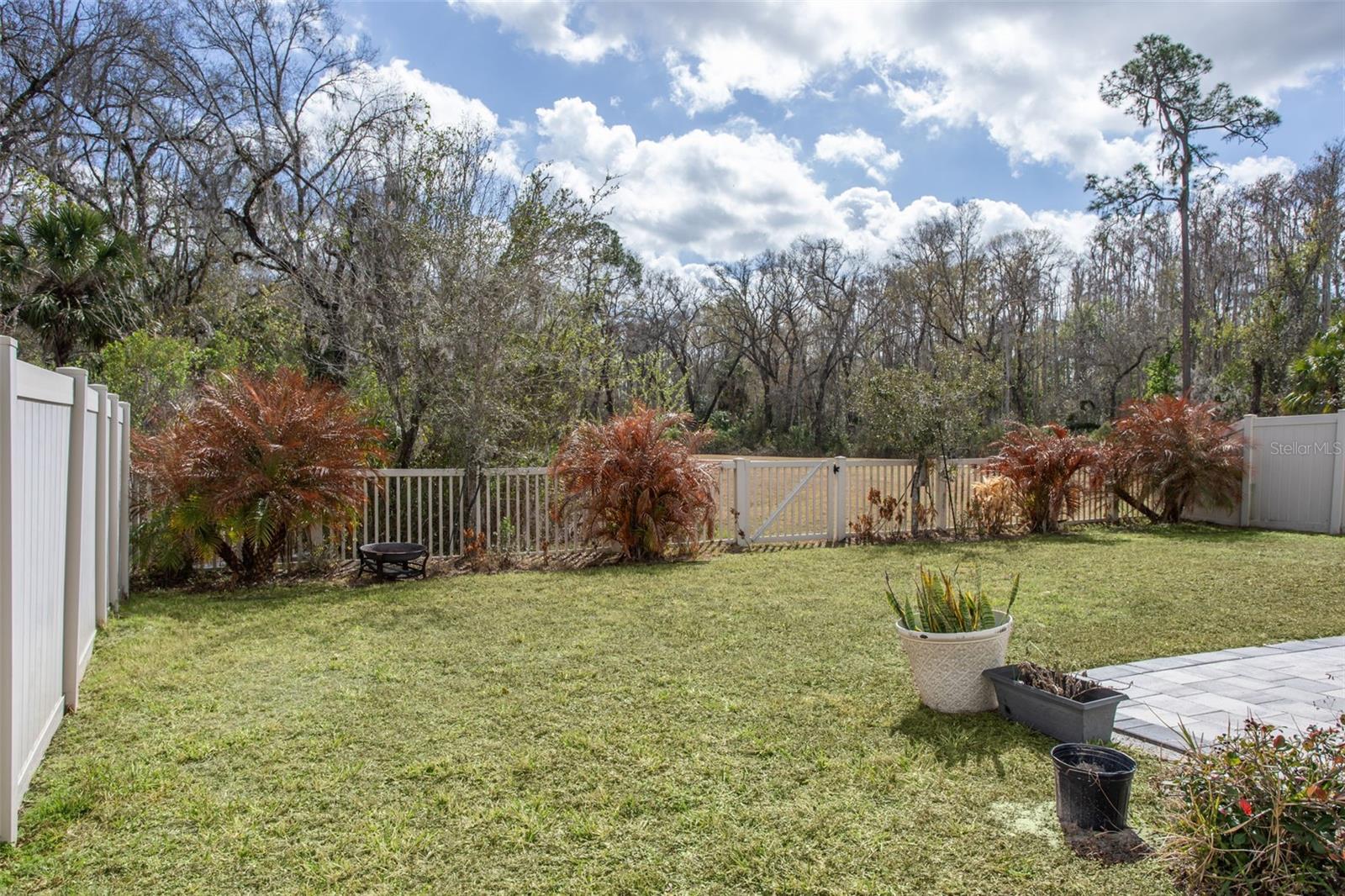 Image 33 of 58 For 32871 Brooks Hawk Lane