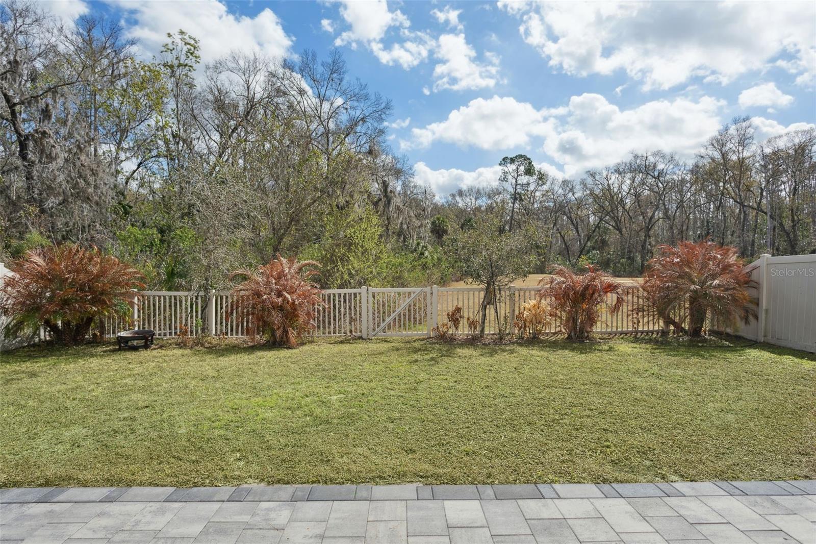 Image 34 of 58 For 32871 Brooks Hawk Lane