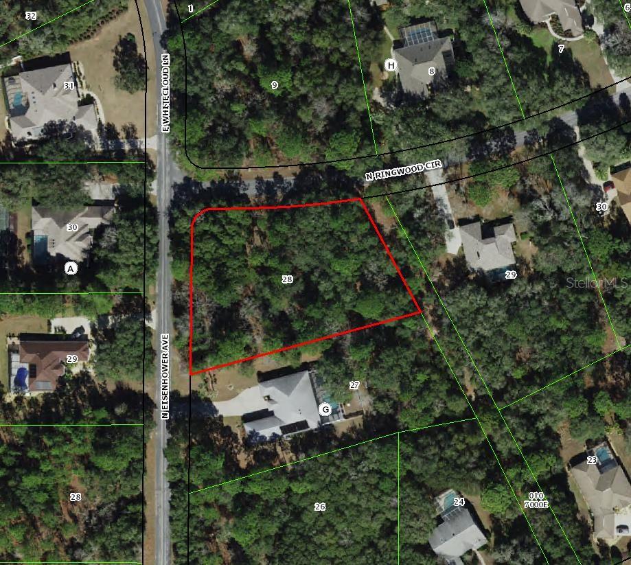 Details for 4001 Ringwood Circle, HERNANDO, FL 34442