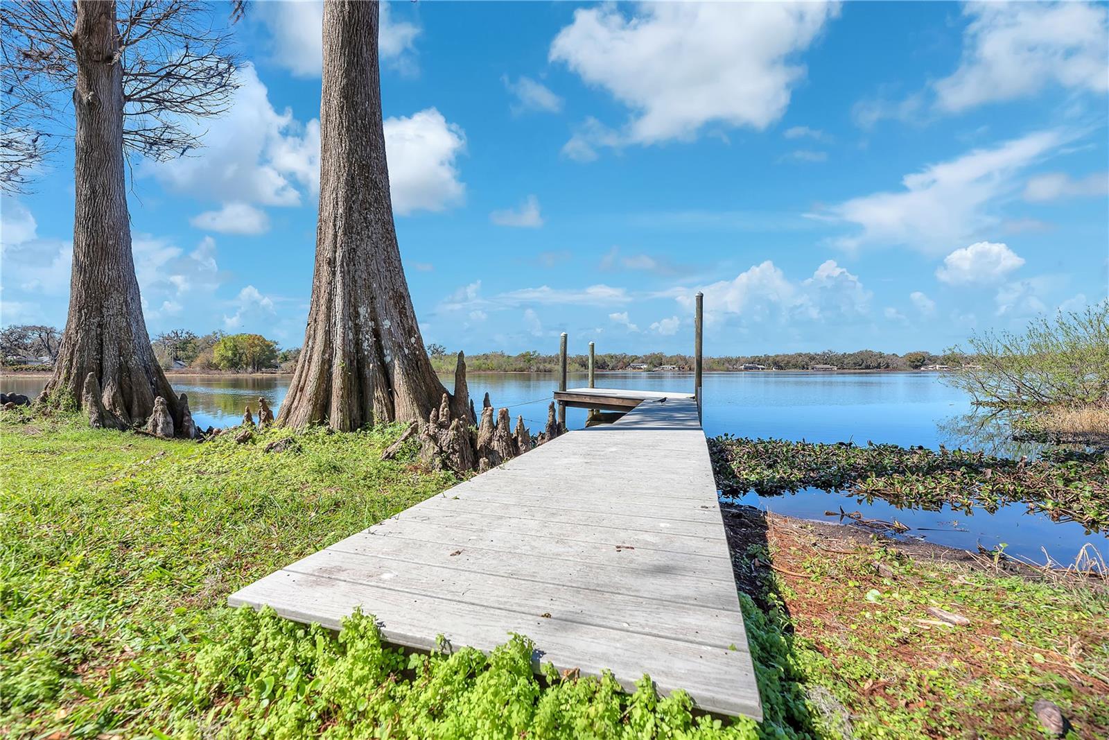 Image 46 of 64 For 2004 Capri Road