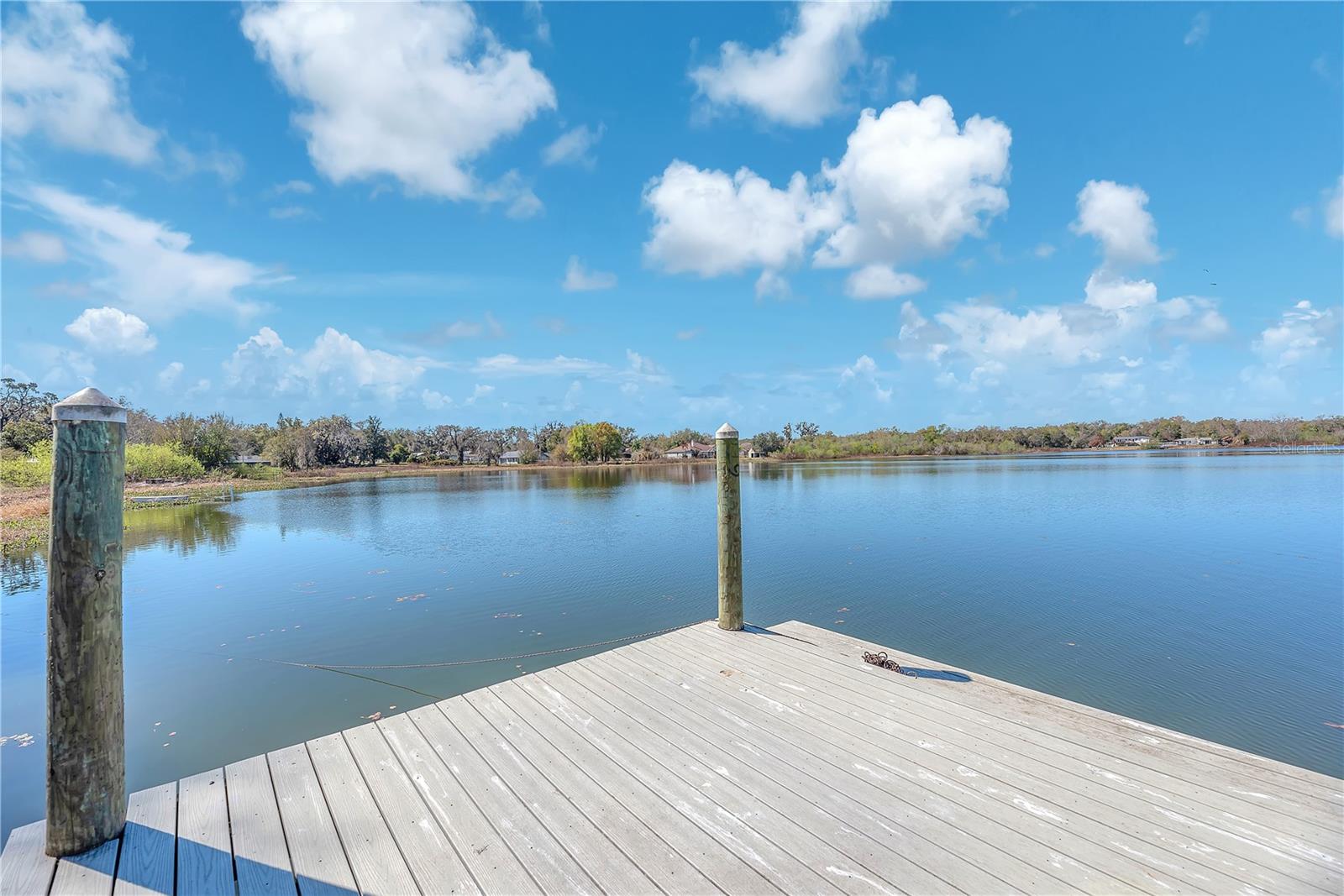 Image 48 of 64 For 2004 Capri Road