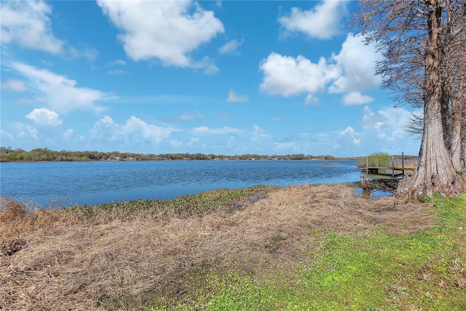 Image 50 of 64 For 2004 Capri Road