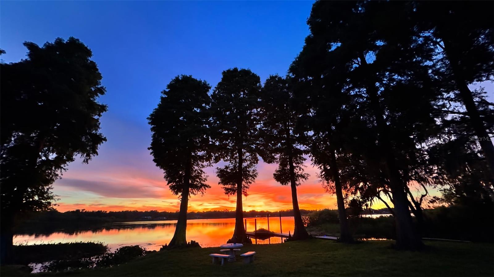 Image 62 of 64 For 2004 Capri Road