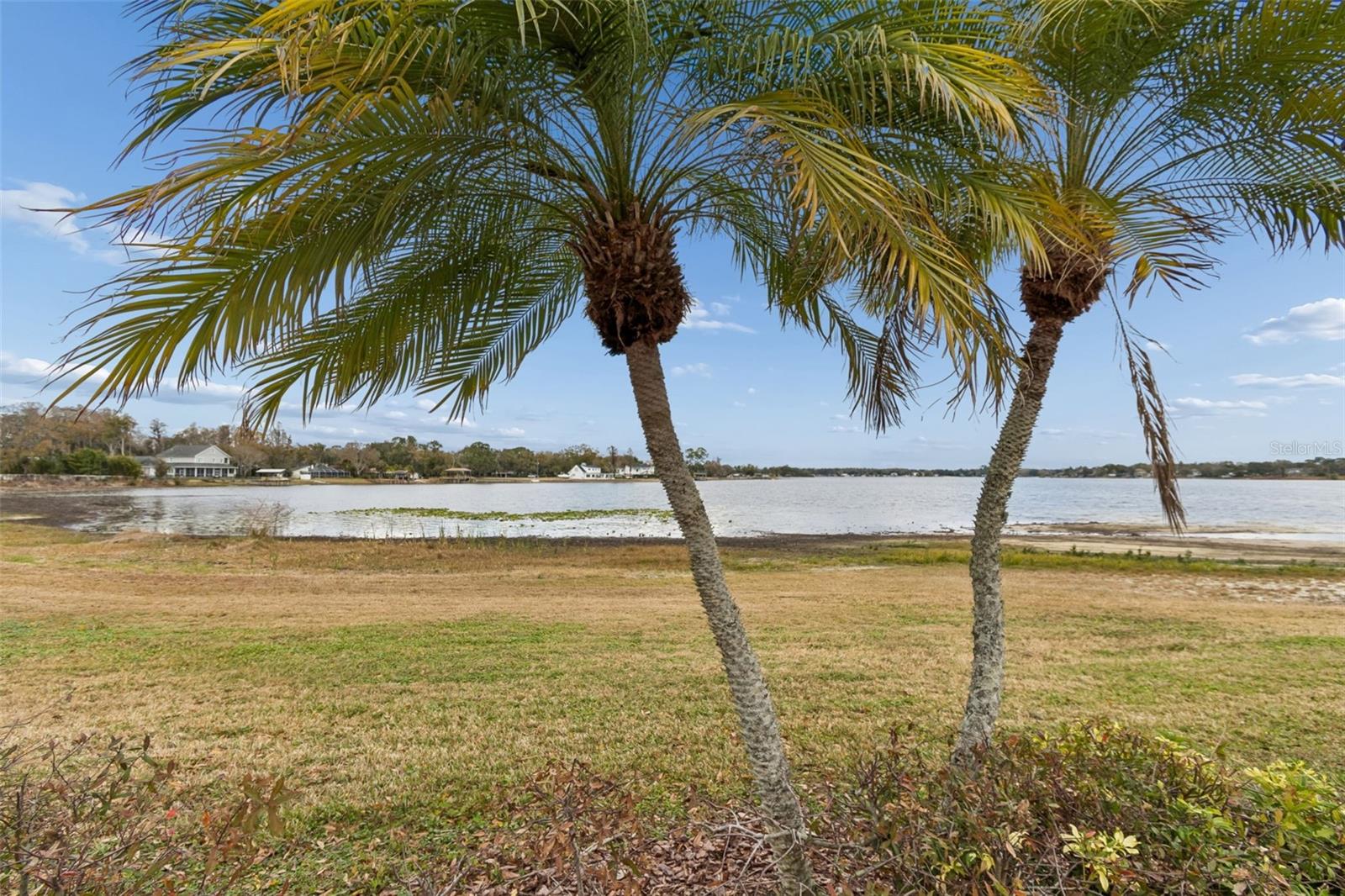 Listing photo id 42 for 13747 Juniper Blossom Drive