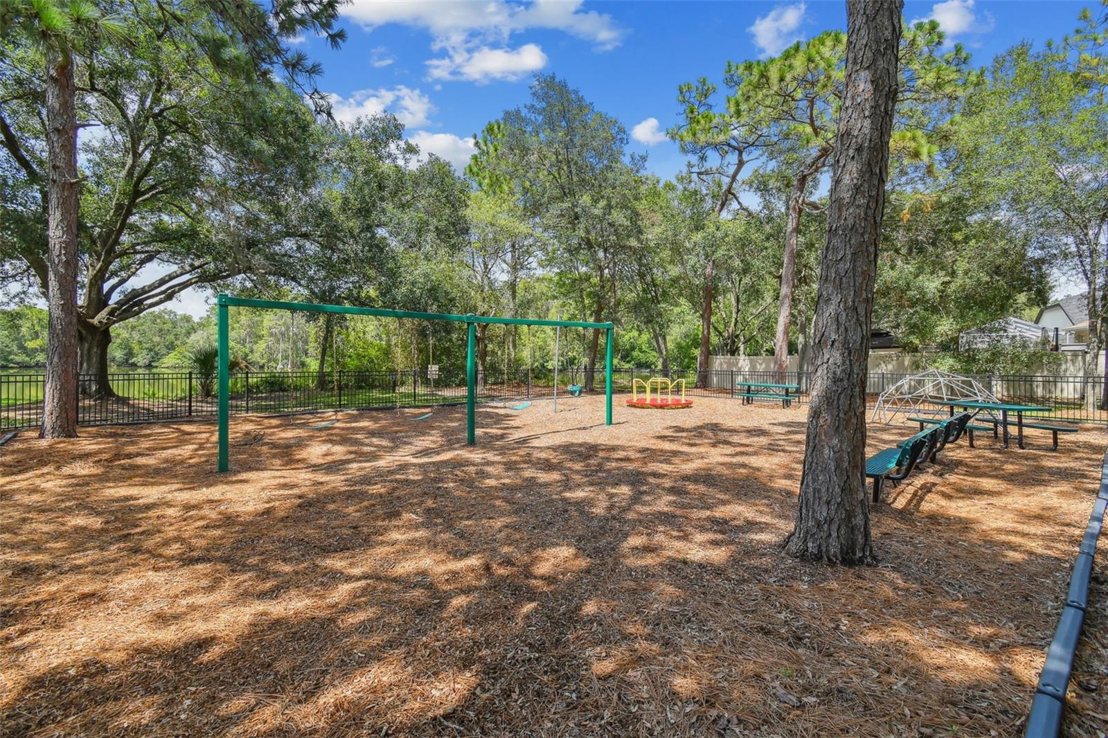 Listing photo id 60 for 13747 Juniper Blossom Drive