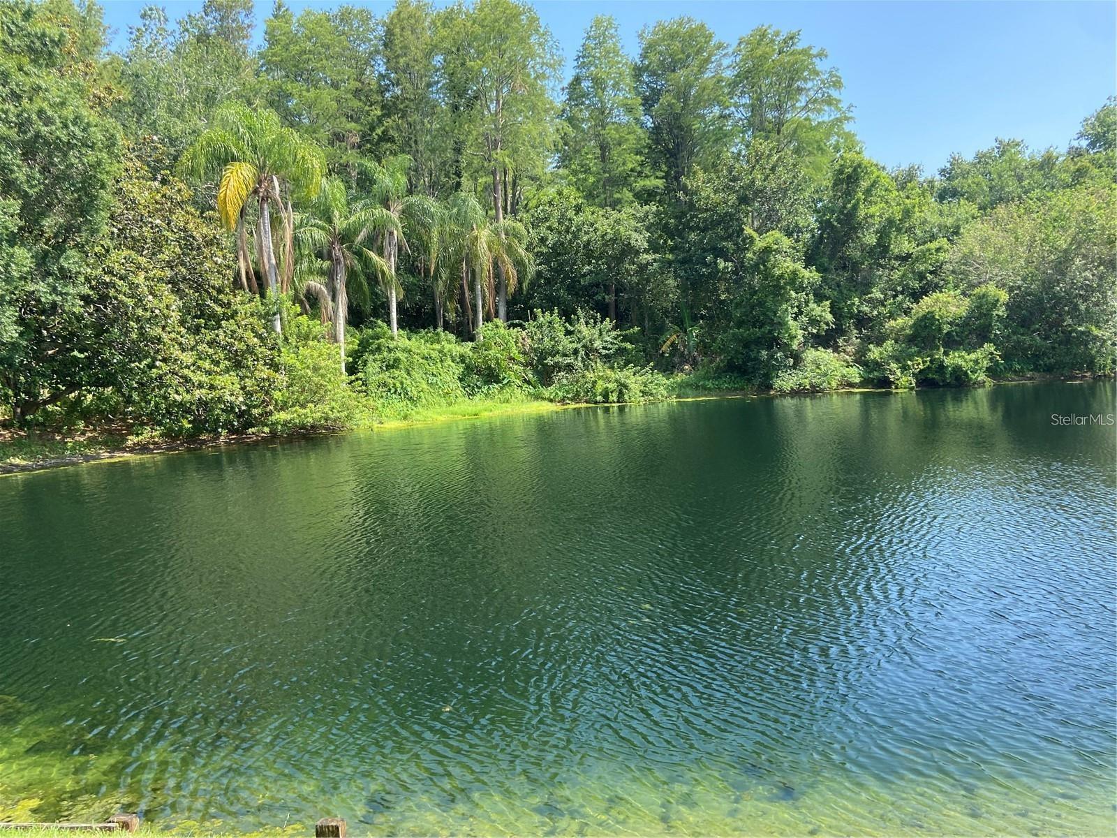 Listing photo id 35 for 3048 Jodi Lane