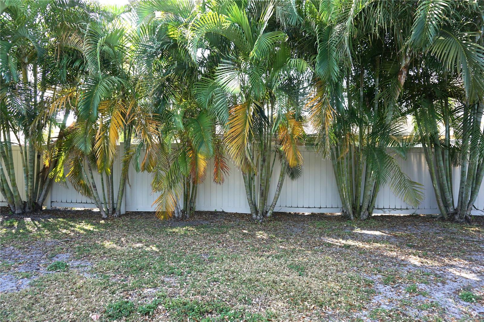 Image 30 of 34 For 6522 Woodland Boulevard N