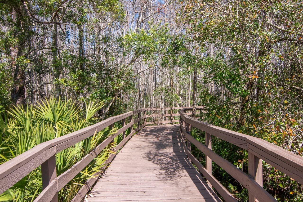 Image 65 of 69 For 1900 Paw Paw Place