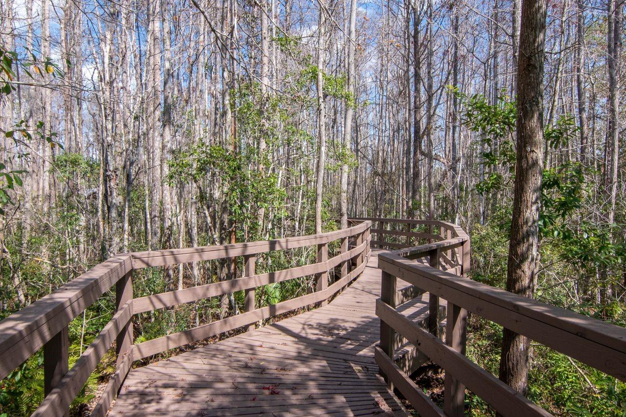 Image 66 of 69 For 1900 Paw Paw Place