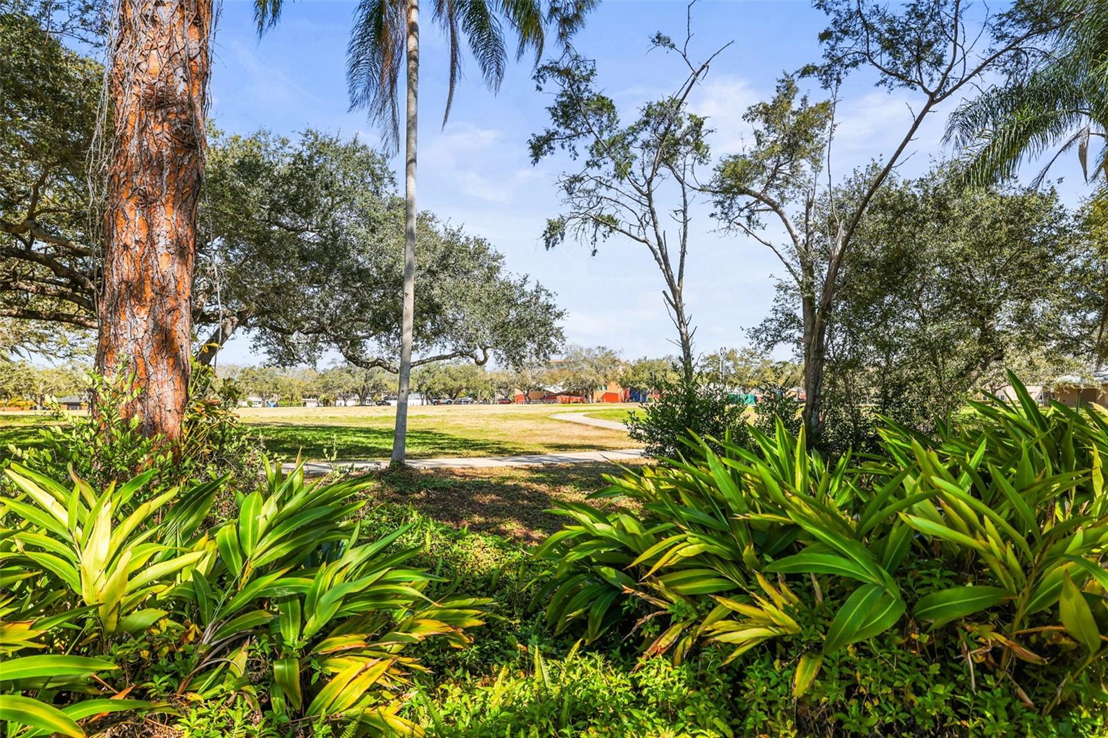 Image 37 of 44 For 1042 Idlewild Drive N