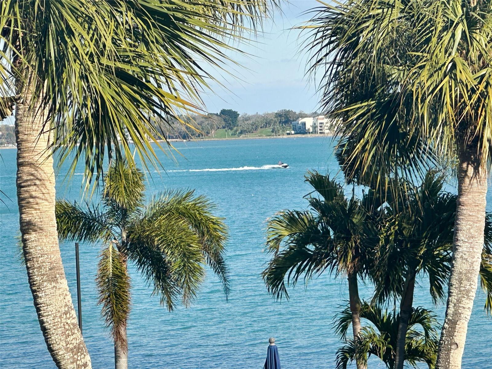 Image 25 of 81 For 1351 Gulf Boulevard 201