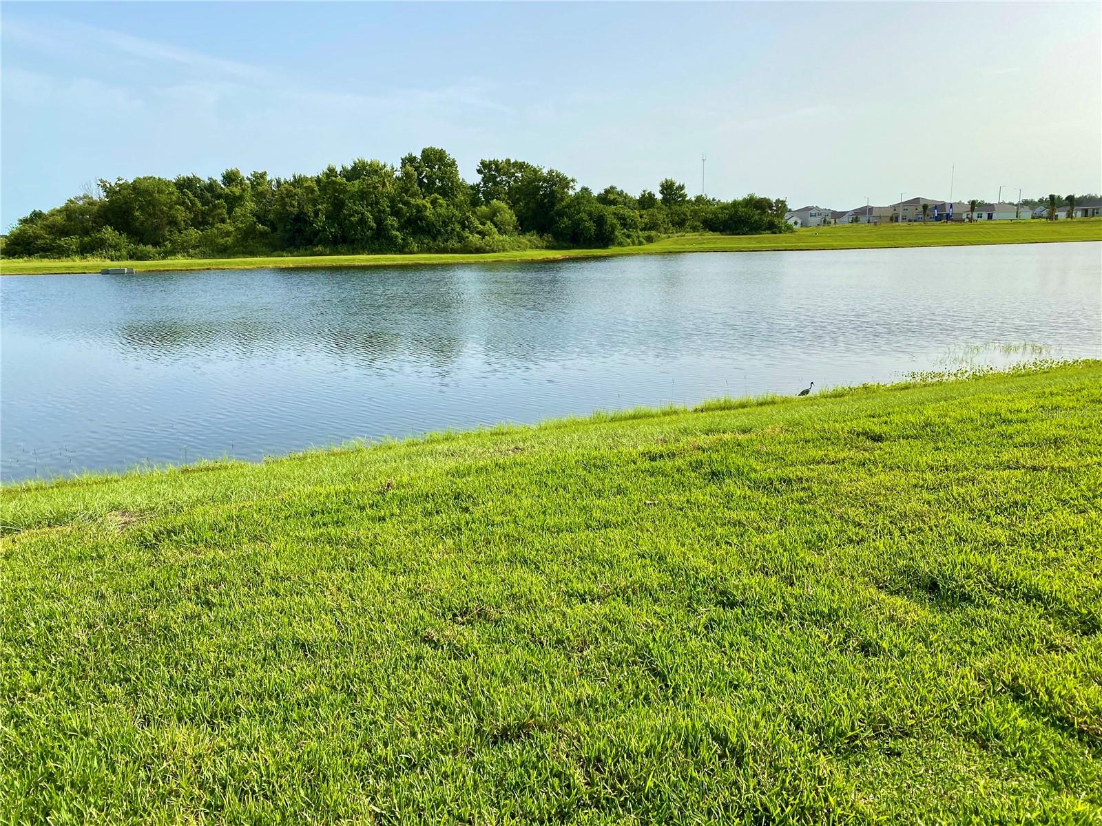 Image 27 of 36 For 11854 Brighton Knoll Loop