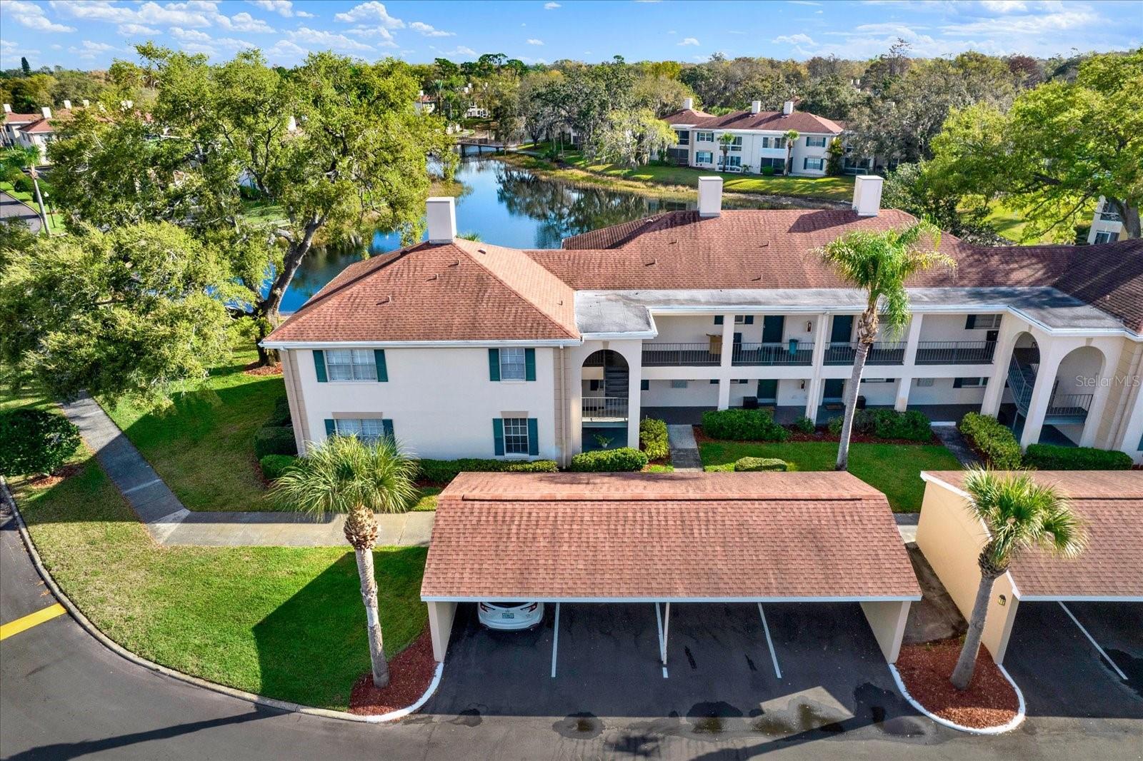 Details for 10330 Carrollwood Lane 95, TAMPA, FL 33618