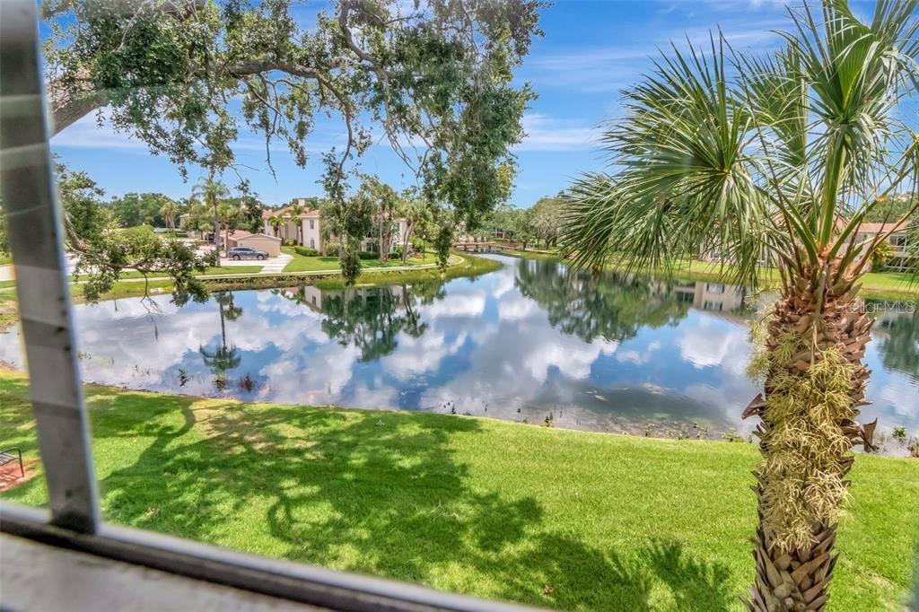 Image 33 of 60 For 10330 Carrollwood Lane 95