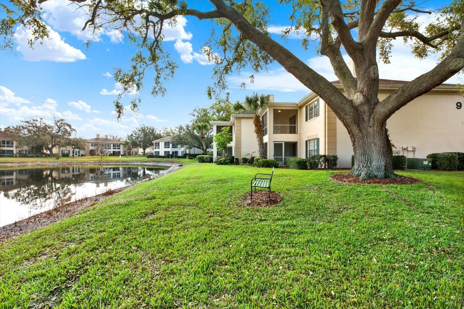 Image 34 of 60 For 10330 Carrollwood Lane 95