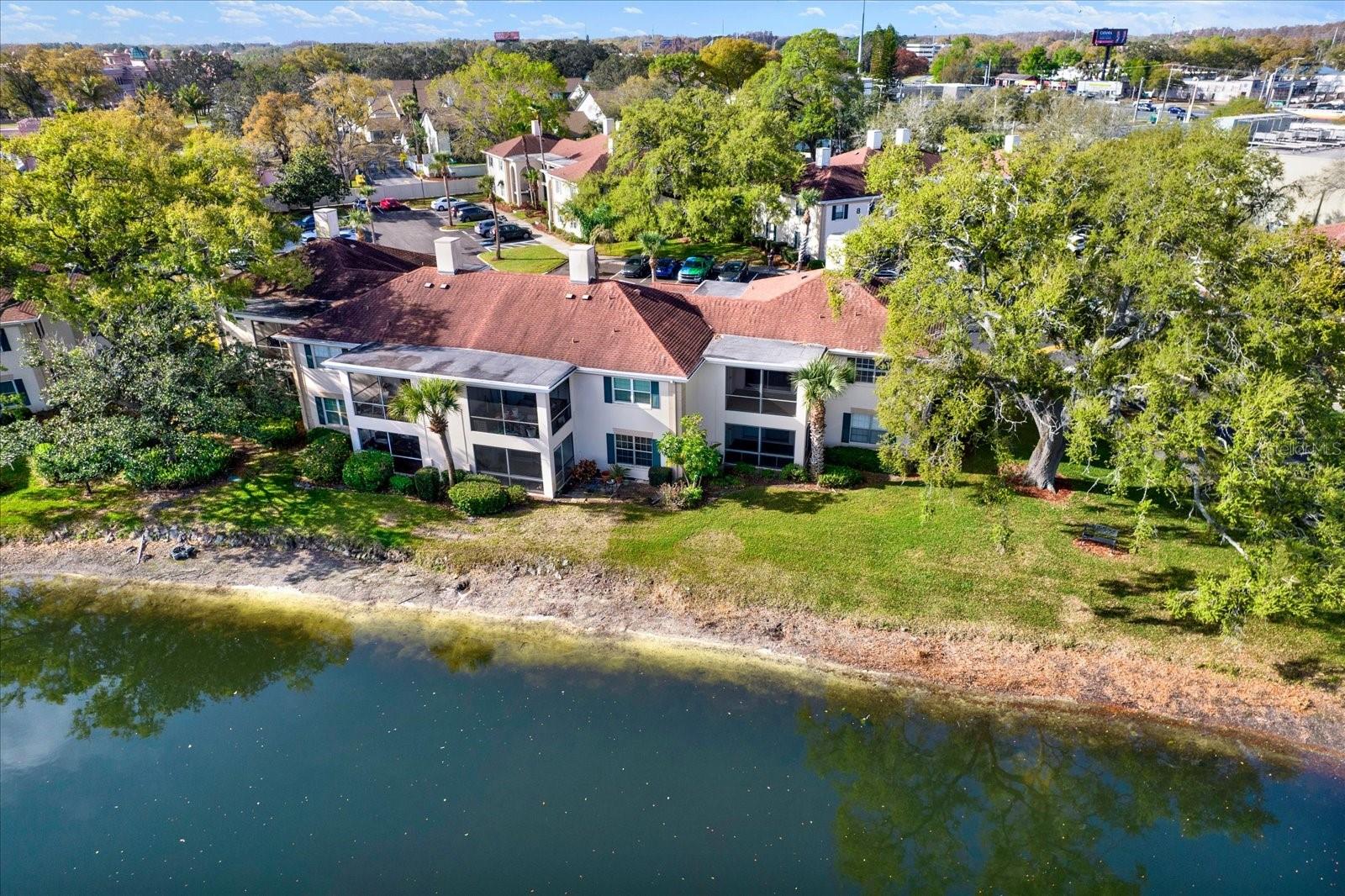 Image 36 of 60 For 10330 Carrollwood Lane 95