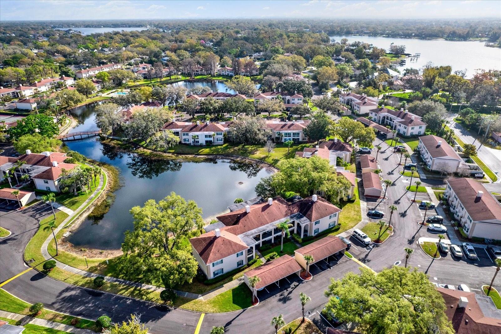 Image 37 of 60 For 10330 Carrollwood Lane 95