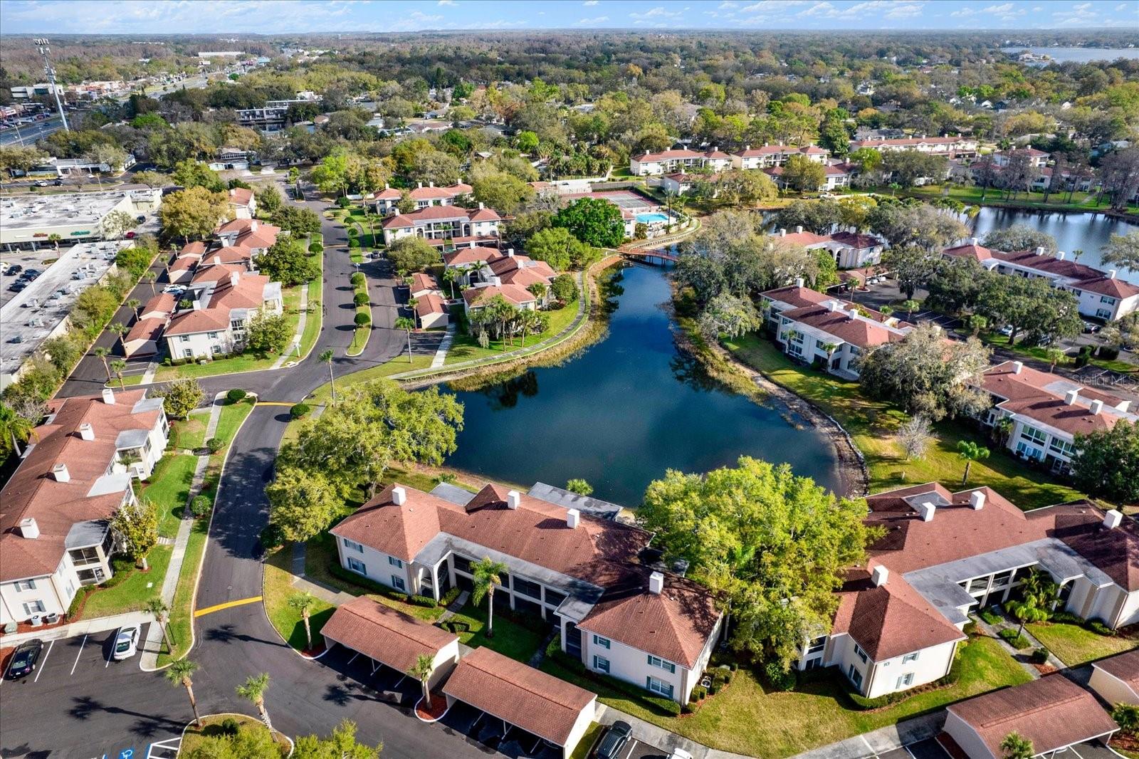 Image 38 of 60 For 10330 Carrollwood Lane 95