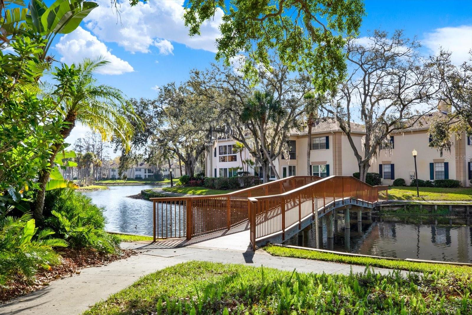 Image 42 of 60 For 10330 Carrollwood Lane 95