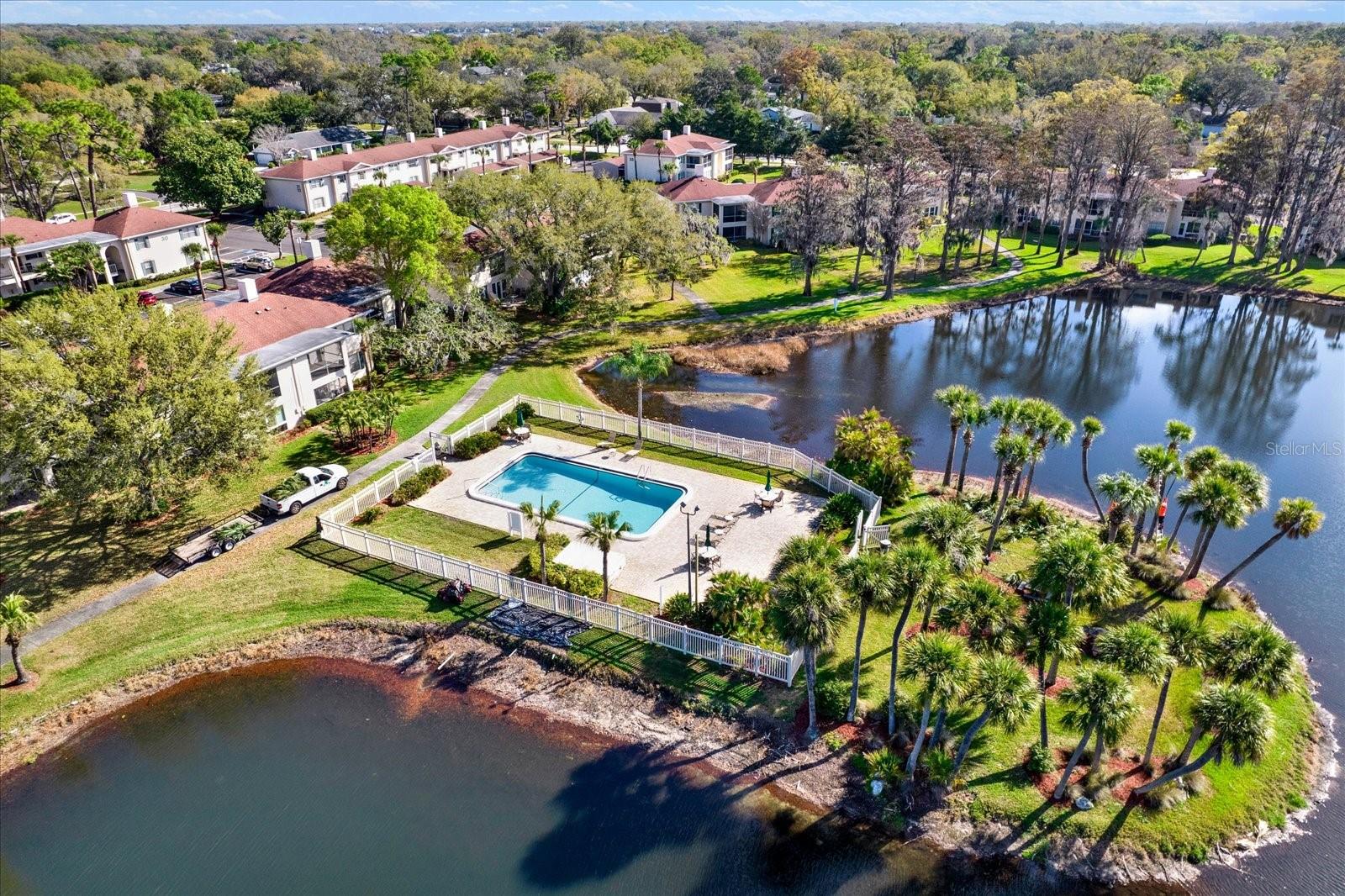 Image 54 of 60 For 10330 Carrollwood Lane 95