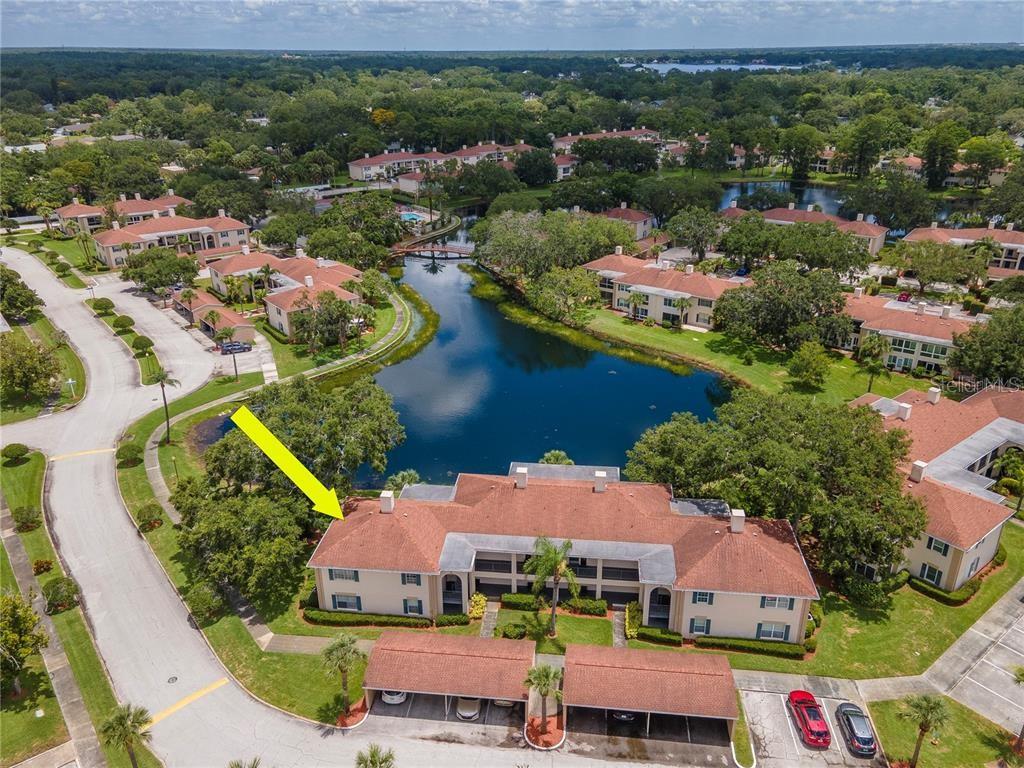 Image 60 of 60 For 10330 Carrollwood Lane 95