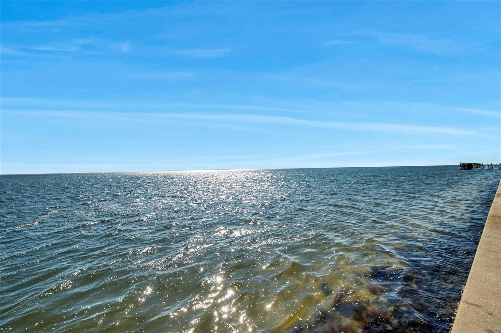 Listing photo id 33 for 4842 Coquina Key Drive Se B