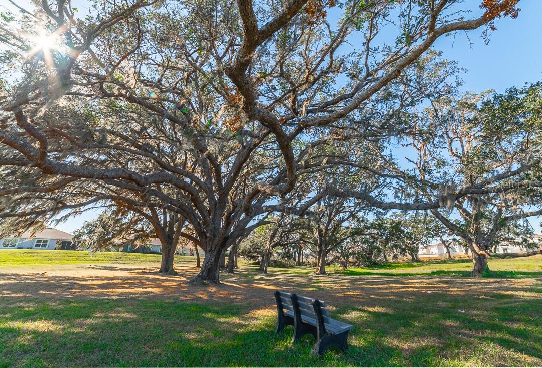 Image 31 of 37 For 10173 Honey Hammock Way