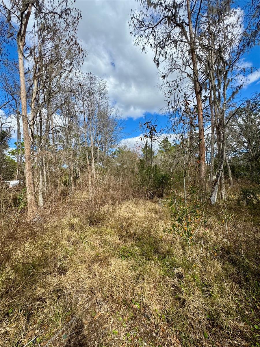 Image 4 of 18 For 26931 Deacon Loop