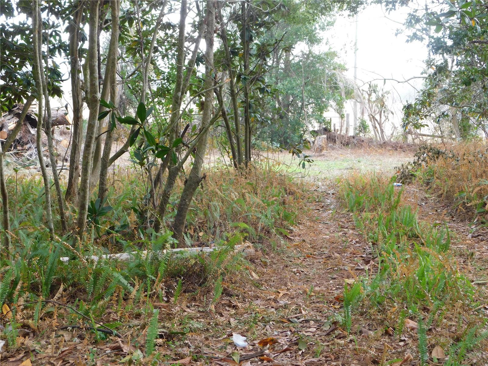 Image 20 of 22 For 40211 Friar Tuck Trail