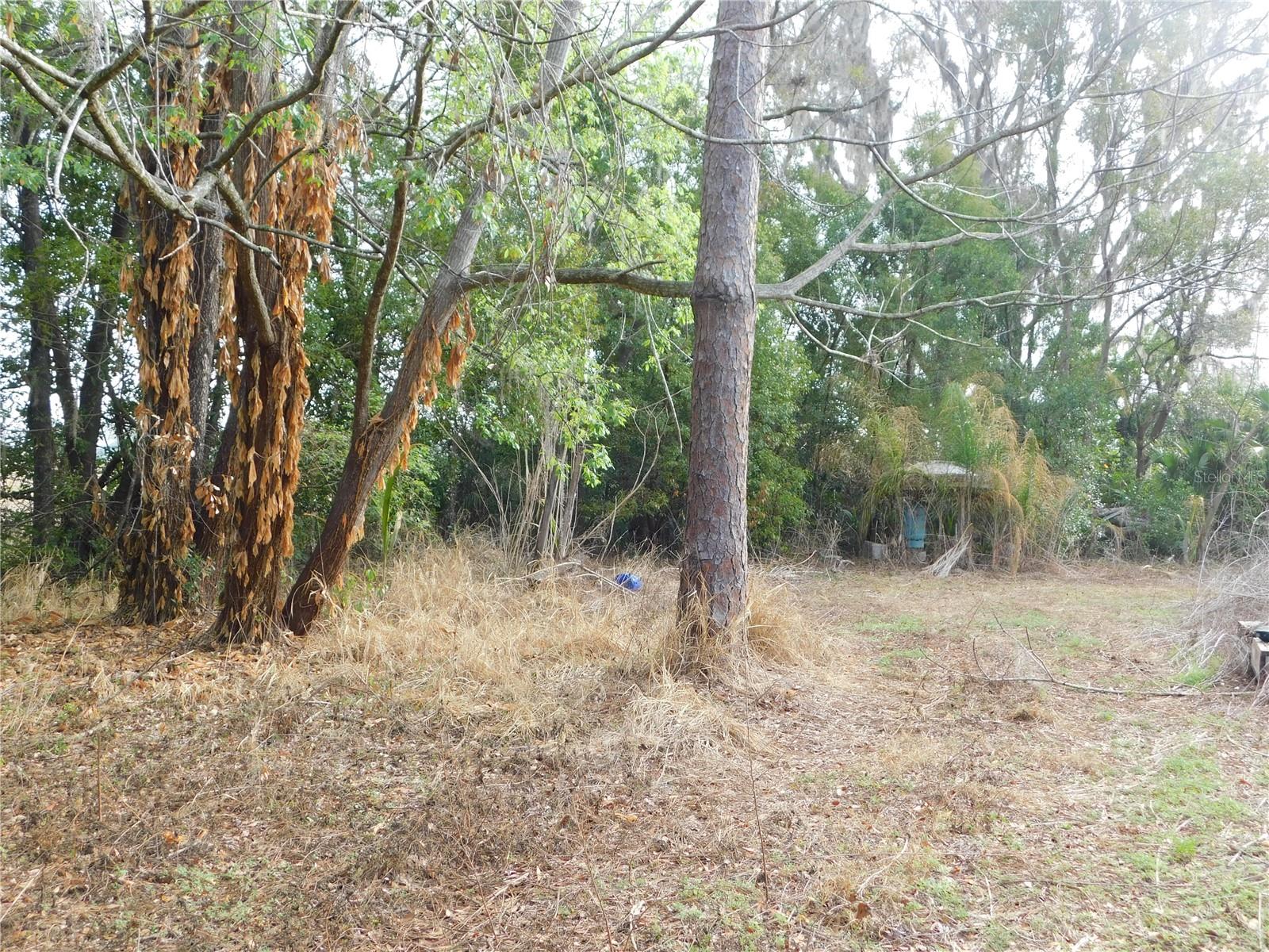 Image 21 of 22 For 40211 Friar Tuck Trail